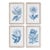 Indigo Protea Prints, Set Of 4 For Sale
