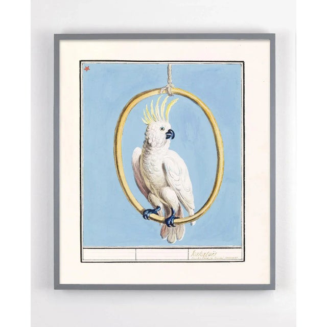 This gorgeous print is restored from a Dutch watercolor from 1800. Printed on archival 100% cotton watercolor paper in...