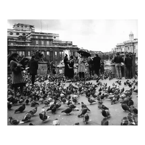 1968 Trafalgar Square London Photograph by Don Ware