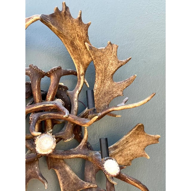 Vintage Monumental Antler and Metal Wall Sconce For Sale - Image 11 of 12