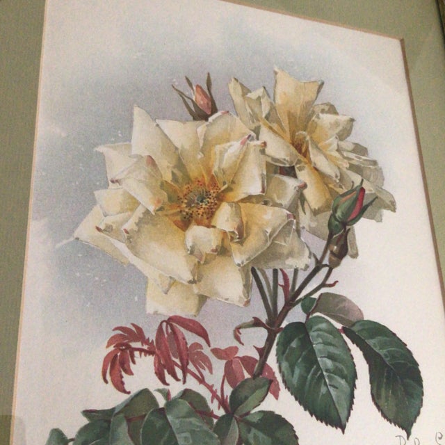 Paul De Longpre 1905 Framed Yellow Roses Lithograph Printed by the Grey Litho. Company, New York For Sale - Image 9 of 13