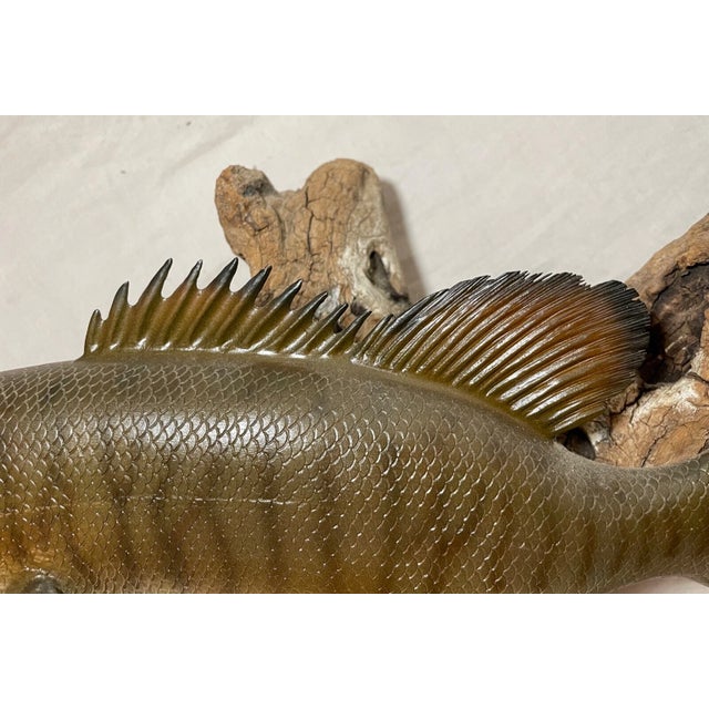 Vintage Handmade Eg Carved Wood Smallmouth Bass Wall Fish Mount Trophy Sculpture For Sale - Image 14 of 18