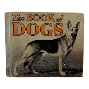 1934 the Book of Dogs