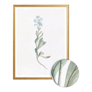 Celerie Kemble Curated Australian Botanical V (24x30) in Gold Frame For Sale
