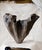 Flourish Vase III For Sale - Image 10 of 11