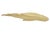 Early 20th Century Hand Carved Wood Fish For Sale - Image 5 of 9