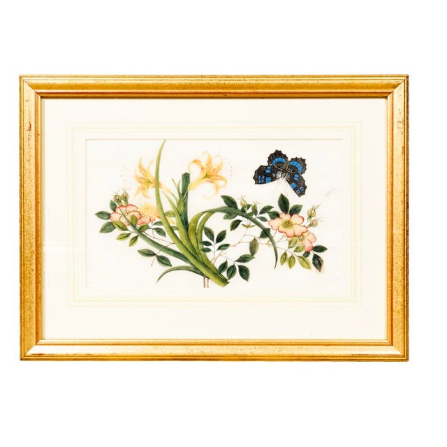 Set of Six Chinese Export Framed Pith Paper Watercolor Botanicals For Sale - Image 4 of 8