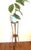 Antique English hand-formed bent bamboo two-tier plant stand. The structure features wicker bindings and a surface with...