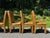 Set of 6 Parsons Dining Chairs by Milo Baughman for Thayer Coggin For Sale In New York - Image 6 of 12