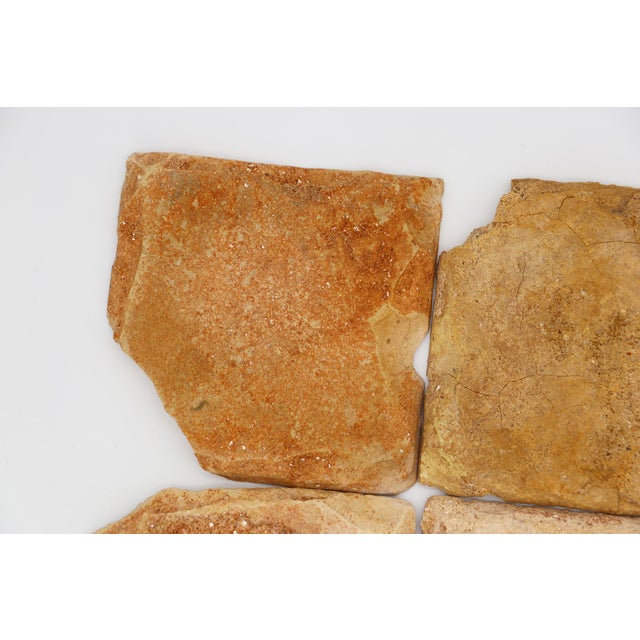 17th Century Set of Six Floral Tiles, Portuguese For Sale - Image 9 of 14