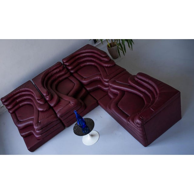 Modern Terrazza Landscapes in Burgundy Leather by Ubald Klug for de Sede, 1970s, Set of 4 For Sale - Image 3 of 18