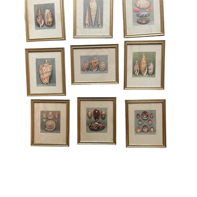 A very rare set of vintage lithographs from the artist Paul A Robert circa 1935. Such a statement to have 12 framed in...
