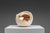 Beige Shell Sculpture with Orange Core, 1970s, Ceramic For Sale - Image 8 of 17