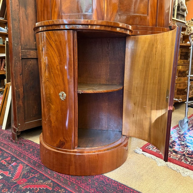 Biedermeier Demi Lune Half-Cabinet For Sale - Image 9 of 16