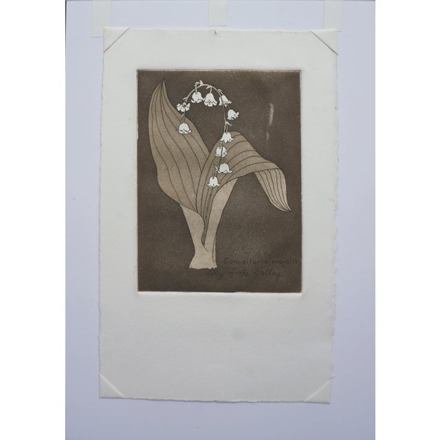 "Lily of the Valley" - Botanical Still-Life Lithograph by Patricia Pearce For Sale - Image 4 of 4