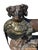 A beautiful bronze sculpture after jules moignez (1835-1894), depicting a setter dog with game, cast using the lost-wax...