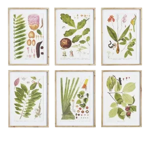 Kenneth Ludwig Chicago Leaf Botanical Study Prints, Framed - Set Of 6