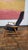 Black Oak Lounge Chair by Alf Svensson for Dux For Sale - Image 8 of 12