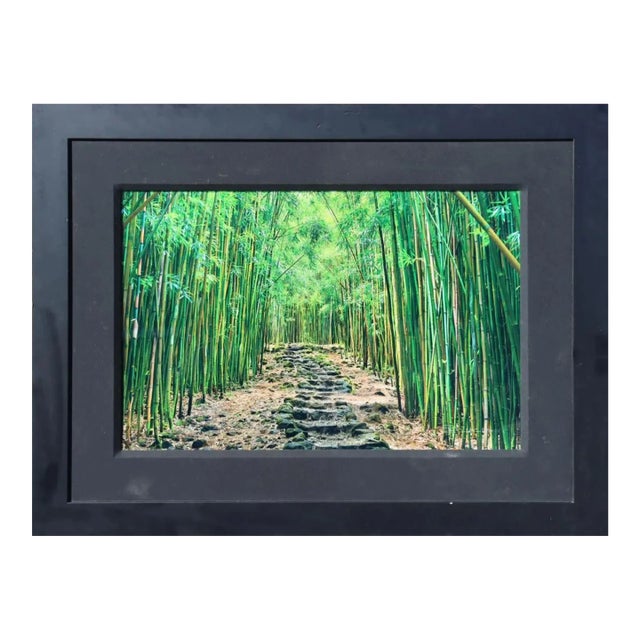 Contemporary Lucky Green Bamboo Path in Maui Hawaii Framed Photo by Peter Lik For Sale