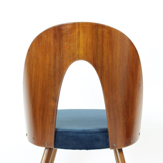 Tatra Chairs in Walnut and Velvet by Šuman, 1960s, Set of 6 For Sale - Image 16 of 18