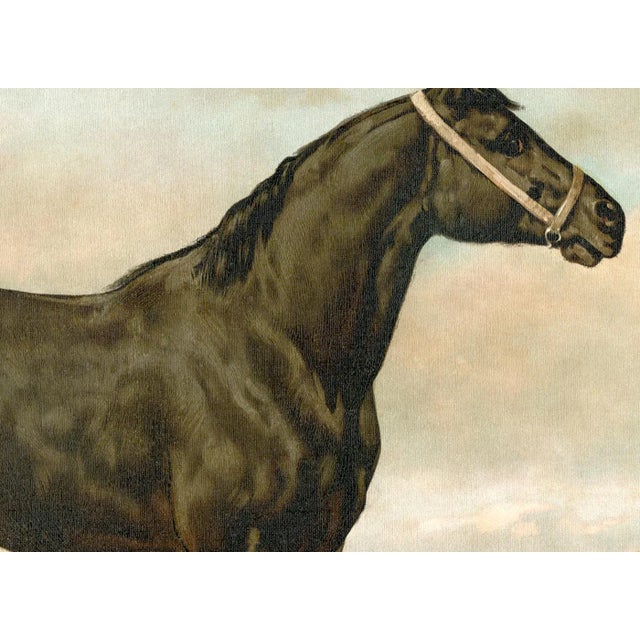 American Irish Horse by Eerelman Framed in Italian Wood Vener Moulding For Sale - Image 3 of 6
