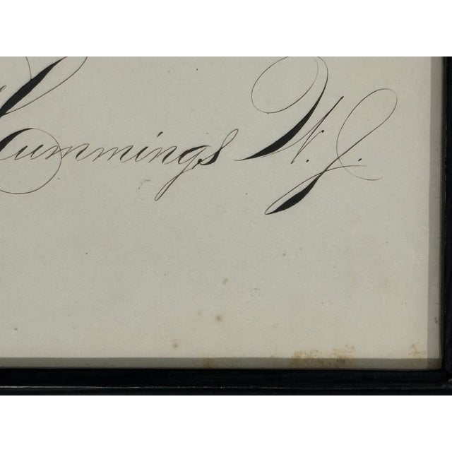 19th Century American Spencerian Calligraphy Penmanship Feather Flourish, Framed For Sale - Image 9 of 10