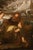School of Titian, The Holy Family with the Infant Saint John the Baptist, 17th Century, Oil Painting on Canvas, Framed For Sale - Image 9 of 15