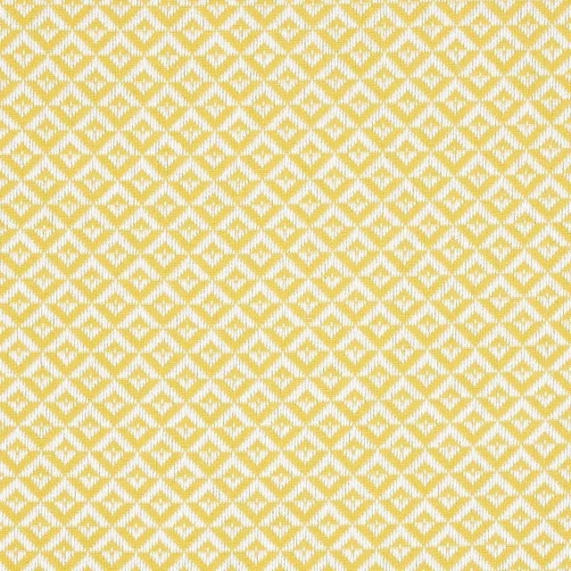 Schumacher Jamison Fabric in Soleil For Sale