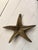 1970s Vintage Large Brass Starfish Sculpture For Sale - Image 5 of 11