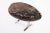 Modern One Slab Living Edge Petrified Wood Console Table W Stainless Stand 53 For Sale - Image 3 of 6