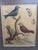 Mid 18th Century Original George Edwards Bird Print, Malacca Gros-Beack & Jacarini of Marggrave; Cooper Plate, Etching and Engraving, Hand Colored For Sale - Image 5 of 12