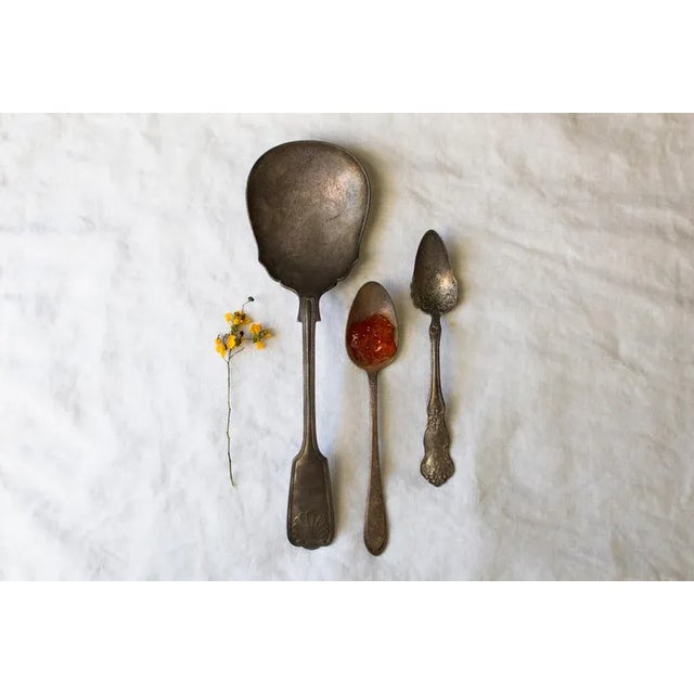 Yellow Flowers and Red Jam by Curtis Speer Print, 32" x 48" For Sale