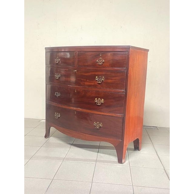 Hollywood Regency Regency-Style Chest of Drawers, Italy, 1950s For Sale - Image 3 of 15