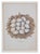 18th Century Set of 8 Antique 18th & 19th C Oological Engraving Prints of Eggs & Nests For Sale - Image 5 of 11