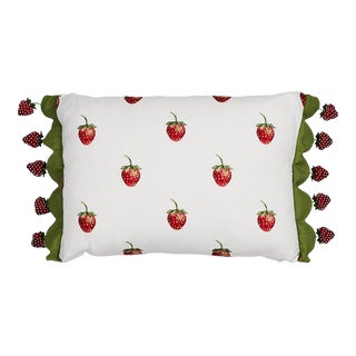 Schumacher x Johnson Hartig Freshie Fresh 12" Pillow in Ivory For Sale