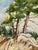 Charming Watercolor Forest Lanscape Painting For Sale - Image 4 of 4