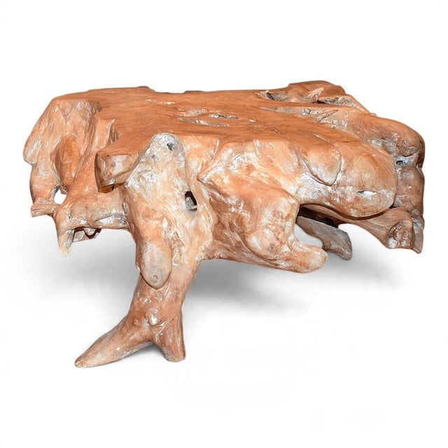 Natural Teak Root Coffee Table, 1980s For Sale - Image 4 of 6
