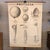 Educational, anatomical, roll up chart by New York Scientific Supply Co. circa 1941 depicting organisms of the protozoa...