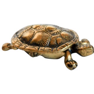 Turtle Trinket Box For Sale
