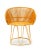 Contemporary Honey Circo Dining Chair by Sebastian Herkner For Sale - Image 3 of 8