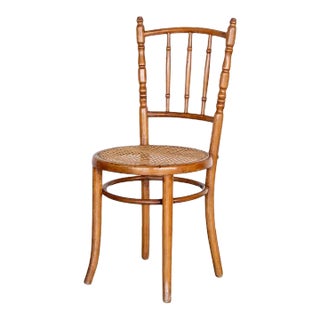 1920s Bentwood and Cane Chair For Sale