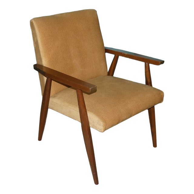 Mid-Century Modern Armchair, 1960s For Sale