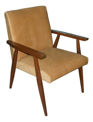 Mid-Century Modern Armchair, 1960s