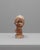 1920s French Plaster Bust of Boy For Sale - Image 18 of 18