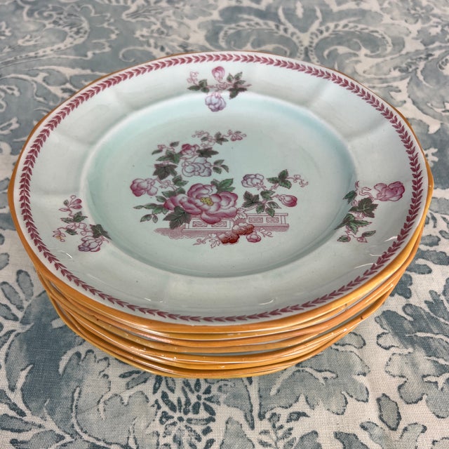 Early 20th Century Adams Calyxware 9” Luncheon Plates - Set of 9 For Sale - Image 5 of 5