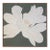 Man Yee “Green Top of the Morning” Original Impasto Floral Painting, 36” Square- New For Sale
