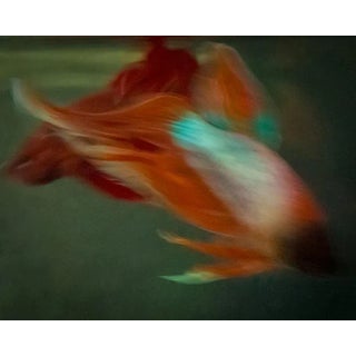 Beta Blur 6 by Michael Filonow Print, 16" x 20" For Sale