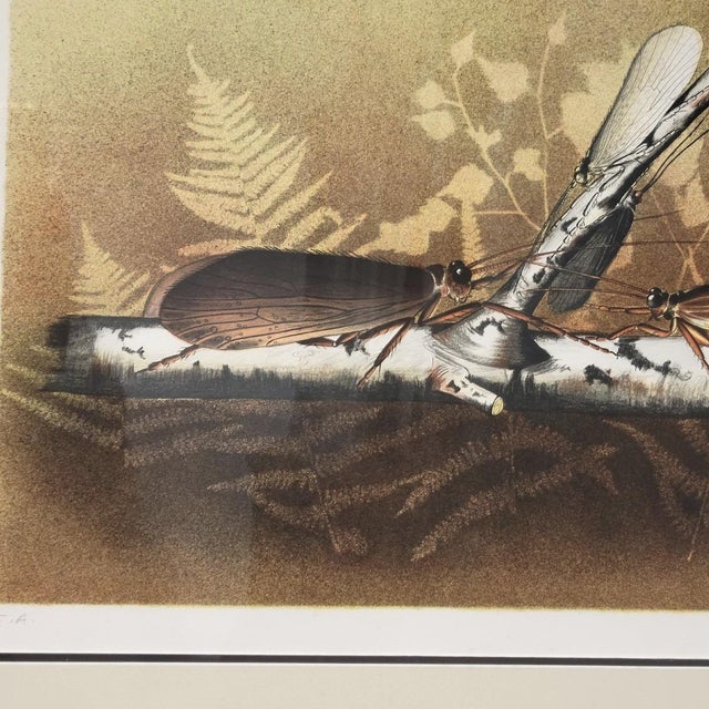 1970s Charles Gaidy Signed Artist’s Proof Insect Print, c.1973 For Sale - Image 5 of 9