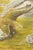A Swedish framed painting of a hawk and rabbit from the mid 20th century. This mid-century painting from Sweden depicts a...