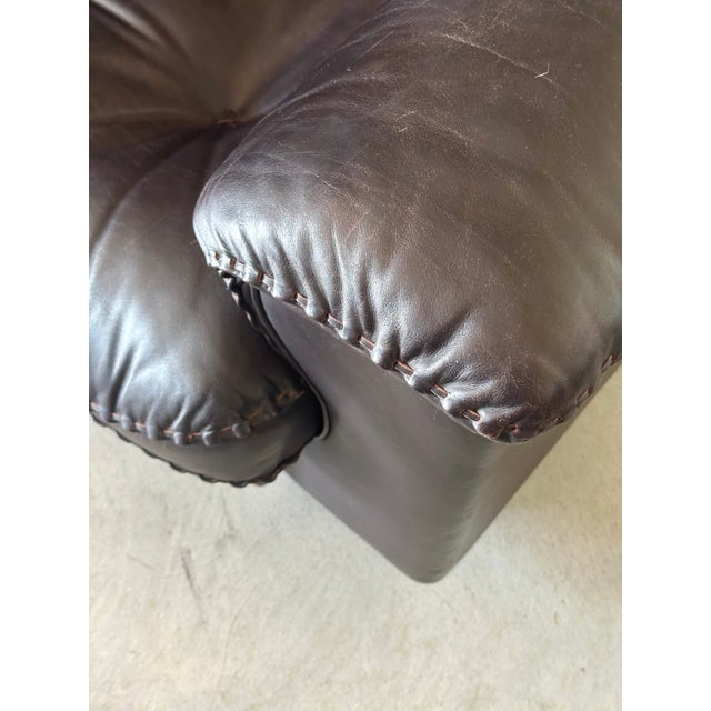 Brown Leather Model DS 101 Armchairs from de Sede, 1970s, Set of 2 For Sale - Image 8 of 13